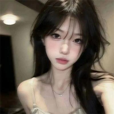 莫西干回到故乡